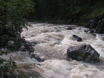 Урик 2007